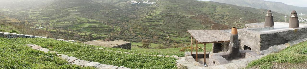 Alonaki Tinos Rental Cottage House Skaládhos Zewnętrze zdjęcie