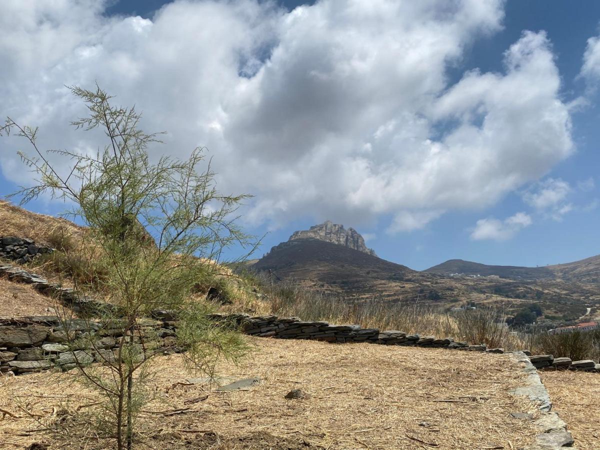 Alonaki Tinos Rental Cottage House Skaládhos Zewnętrze zdjęcie